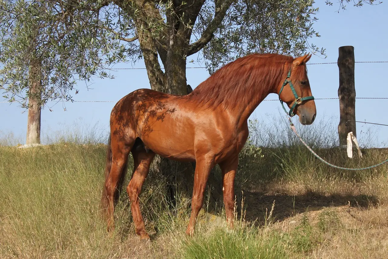 Stallion India Fluorochemicals (NSE: STALLION): Wholesale Distribution Business Overview and Key Insights - Kalkine Indi
